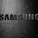 Тимофеев Денис 